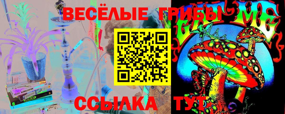 Псилоцибиновые грибы мухоморы Нижнекамск